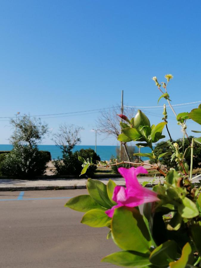 B&B Mareen Santa Maria al Bagno Exteriér fotografie